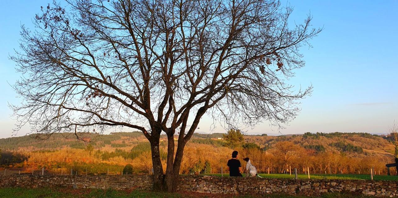 Casa Mato Monforte De Lemos