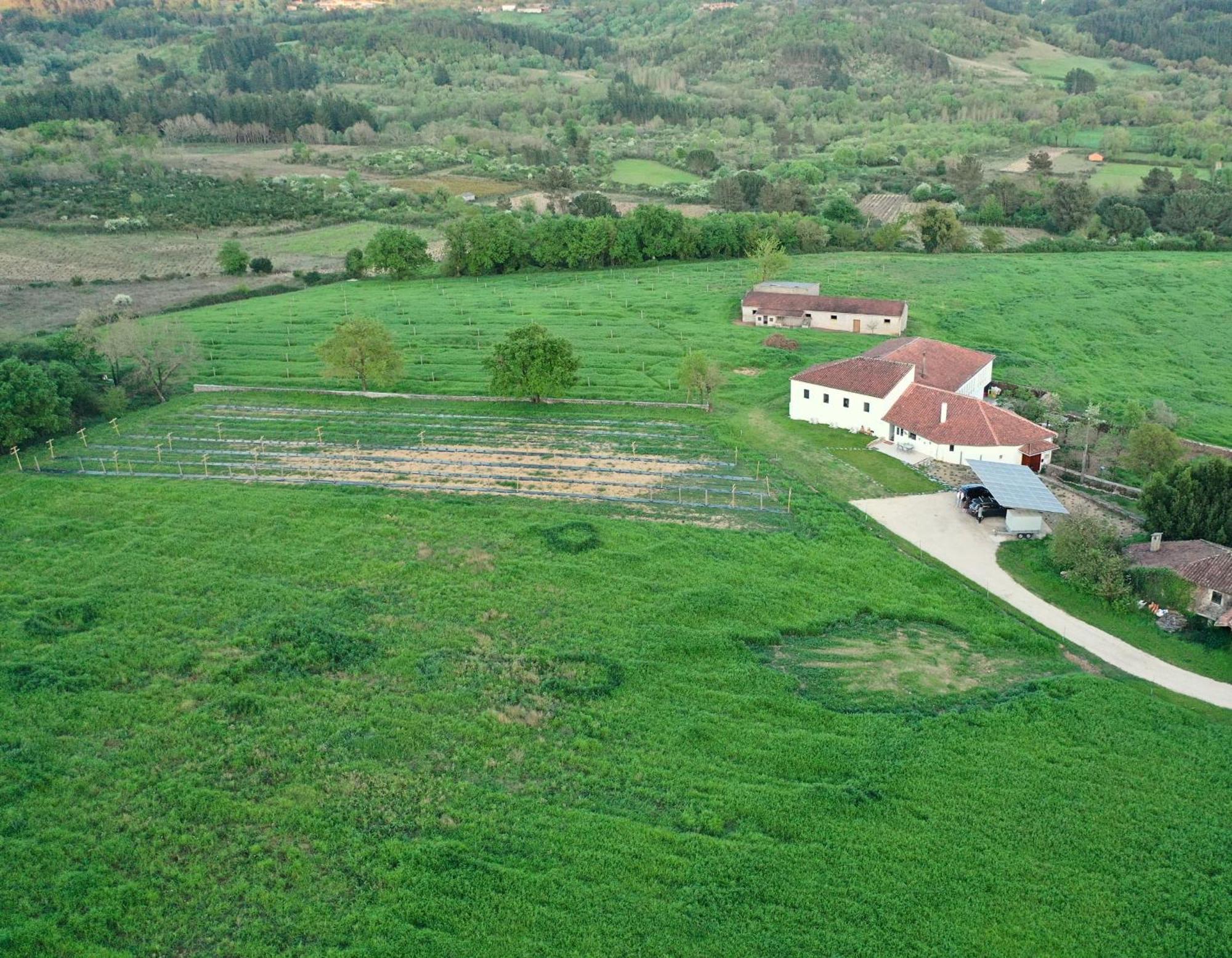 Casa Mato Monforte De Lemos